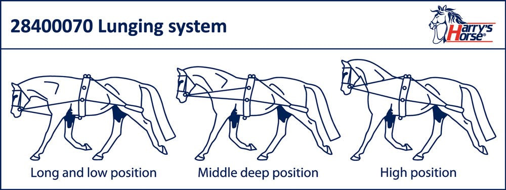 Harry's Horse Passant Vrac Pour Rênes En Sangle - Accessoire Équitation Confortable Et Résistant