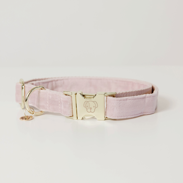 Velvet dog collar - Kentucky