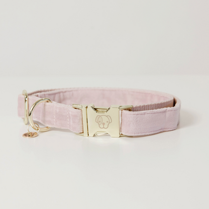 Velvet dog collar - Kentucky