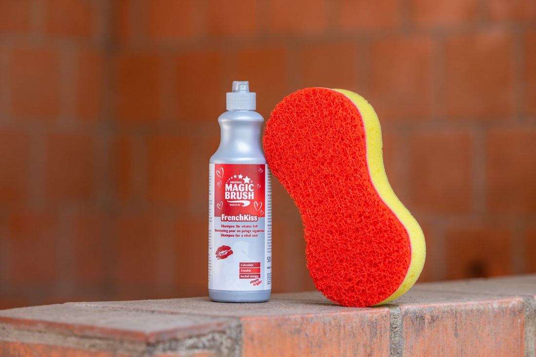 Shampoing French Kiss - Magic Brush