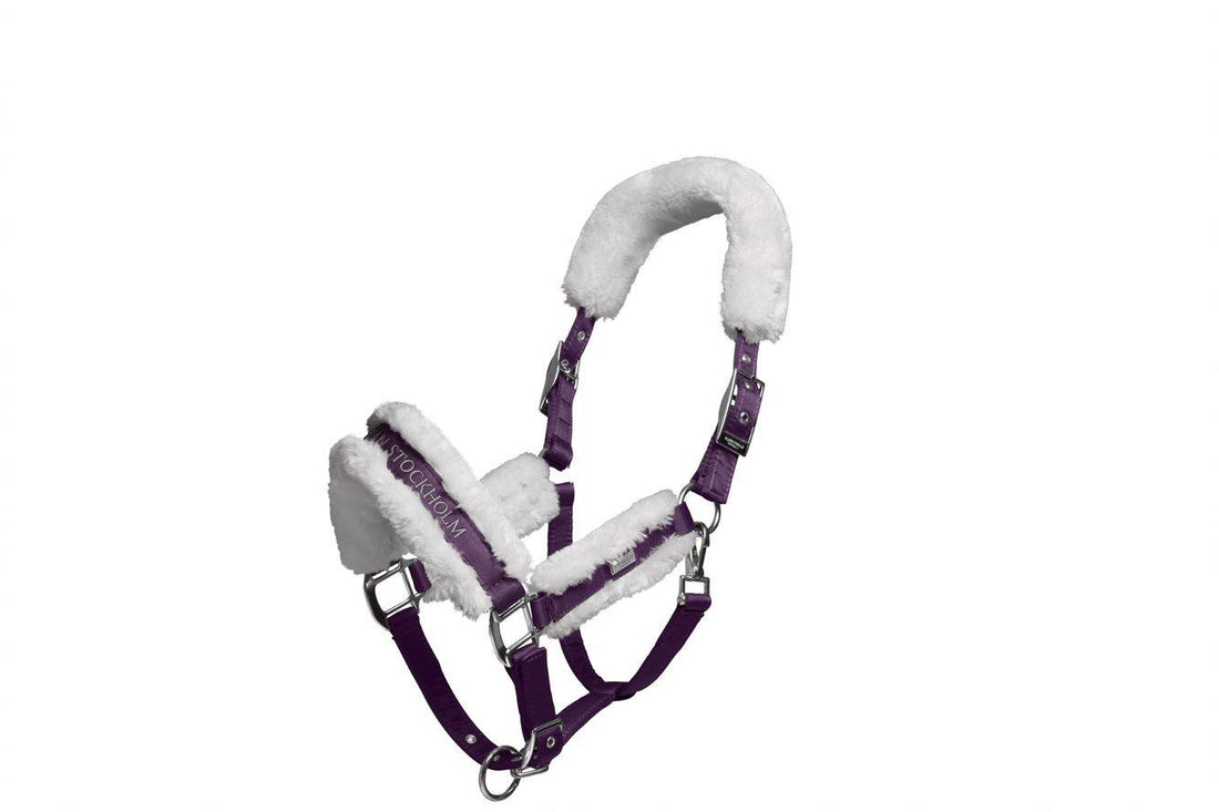 Sheepskin lined halter and lead rope Equestrian Stockholm - Orchid Bloom