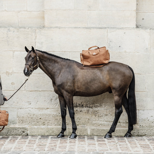 Sac Chestnut Week-end - Kentucky