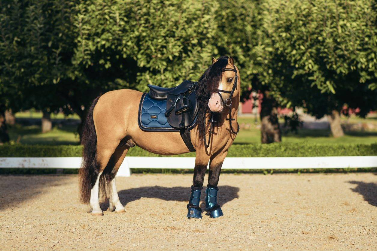 Tapis de selle Monaco Blue - Equestrian Stockholm