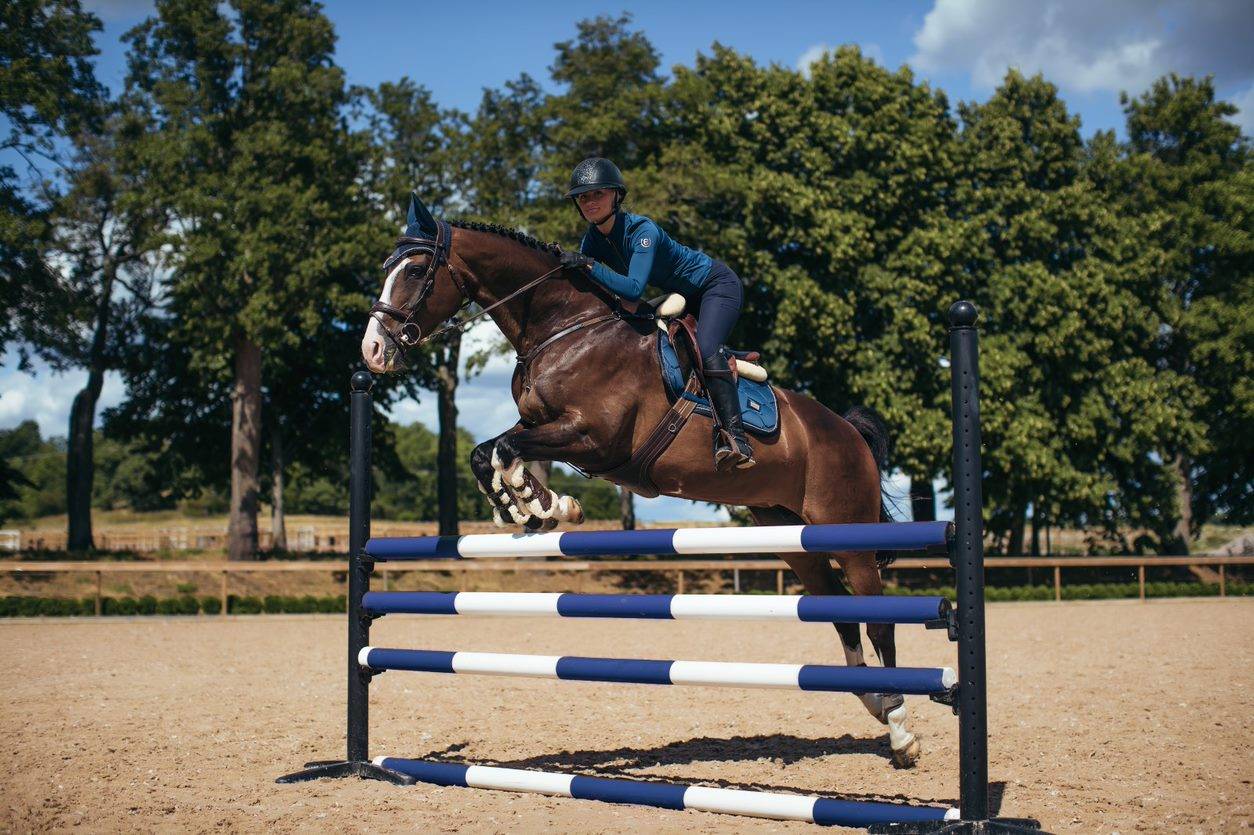 Tapis de selle Monaco Blue - Equestrian Stockholm