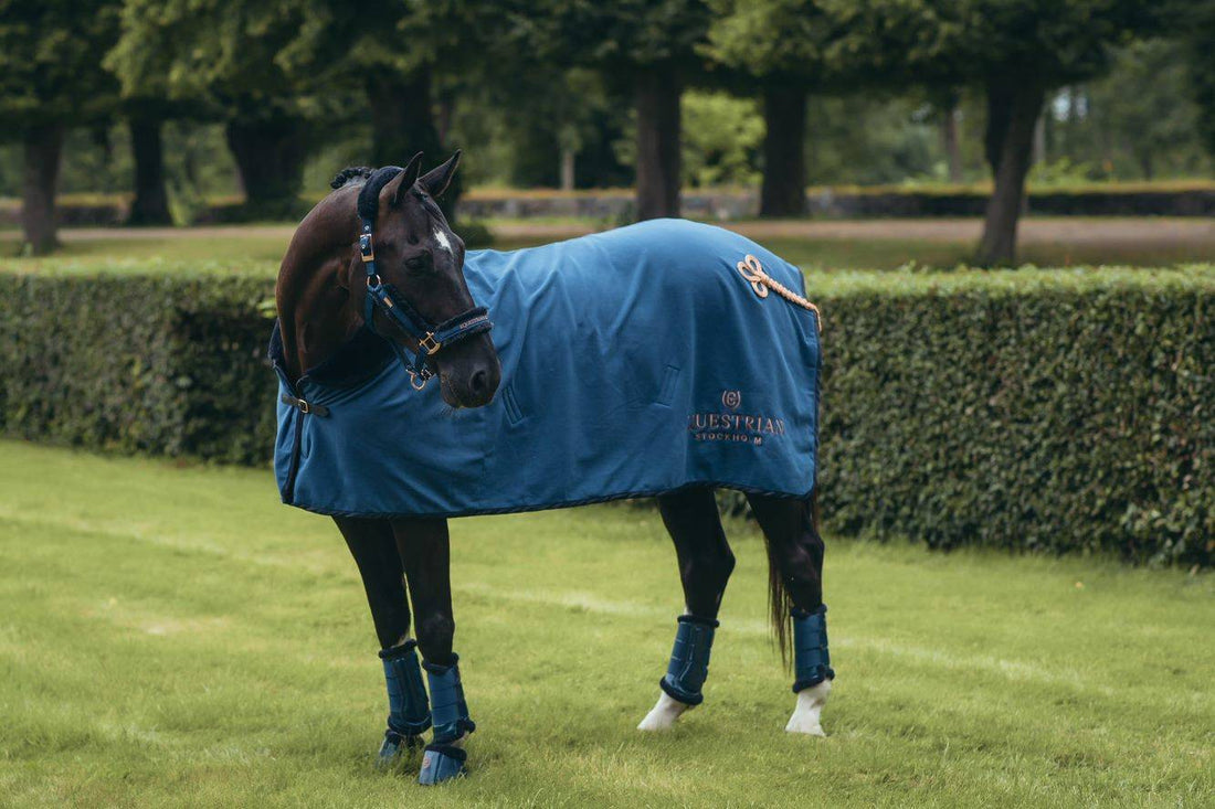 Sheepskin lined halter and lead rope Equestrian Stockholm - Monaco Blue