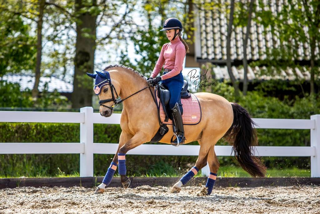 Tapis Peony Pink - Equito