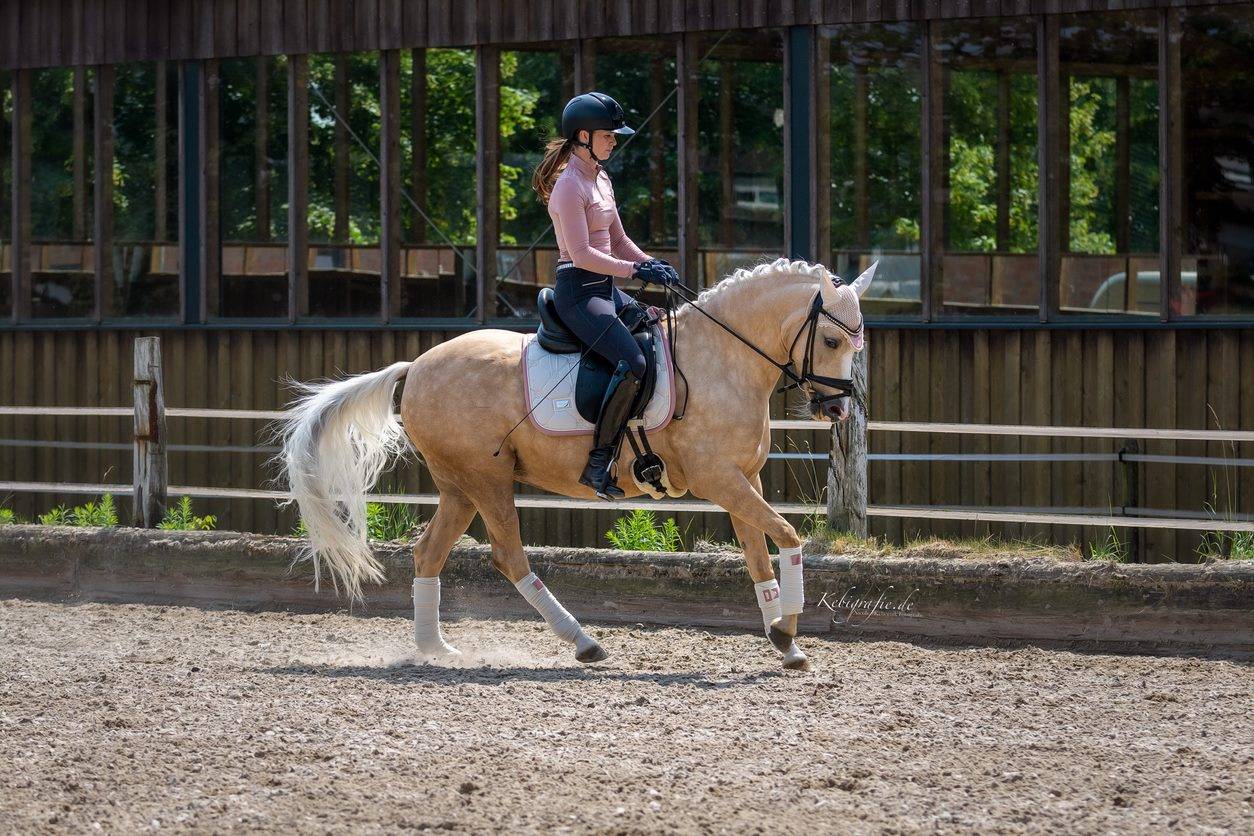 Tapis de selle Desert Rose - Equestrian Stockholm