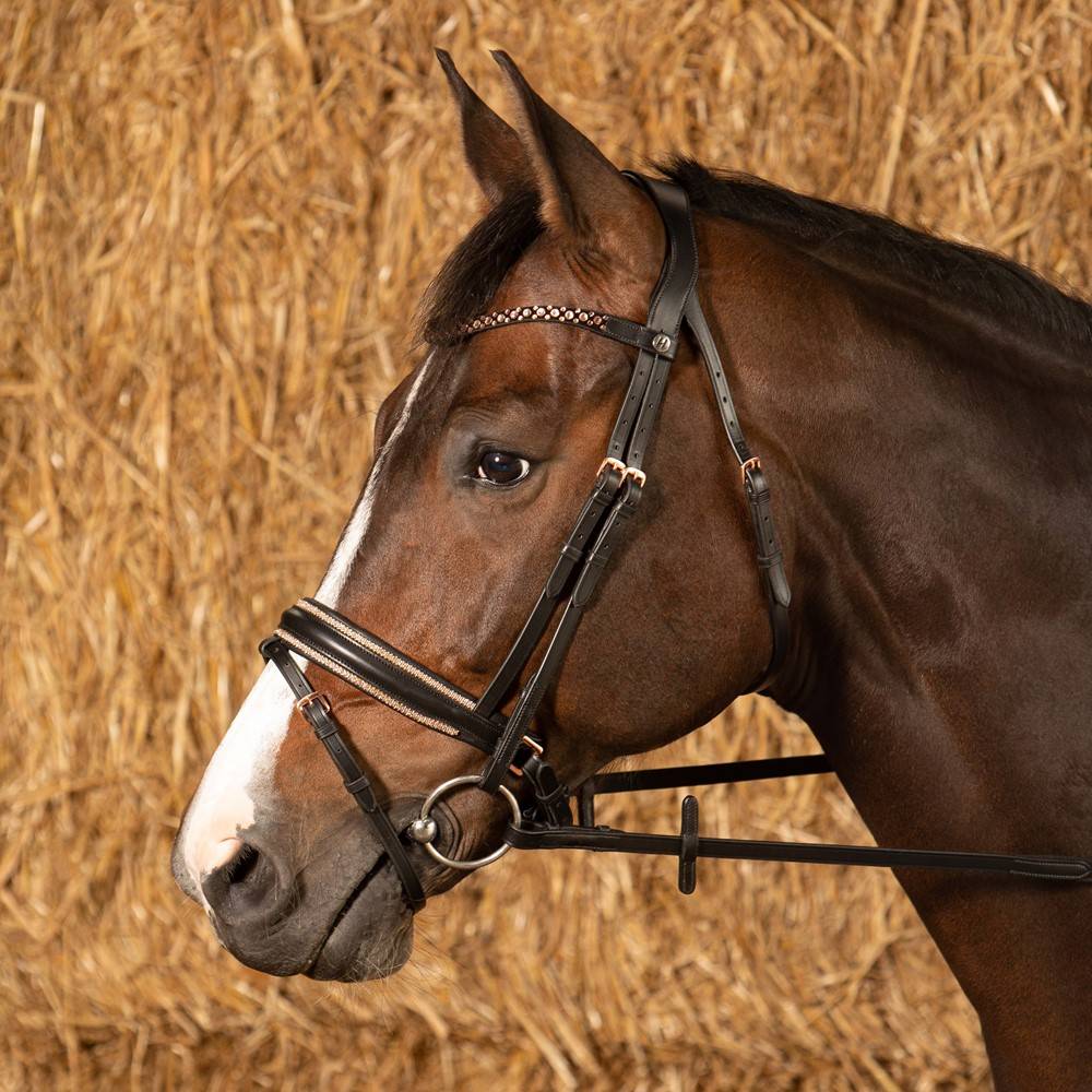 Rosegold Royal Bridle - Harry&