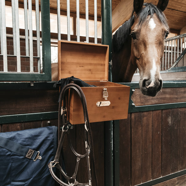 Stable grooming box - Kentucky