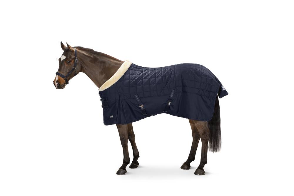 Zeta 200g Basics stable rug - Eskadron