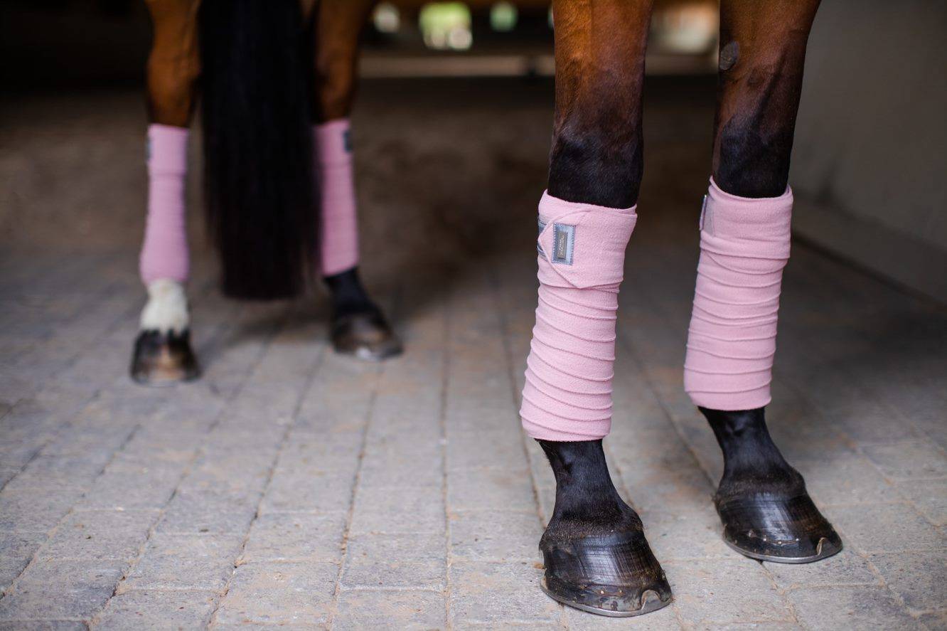 Bandes de polo Equestrian Stockholm - Pink Crystal