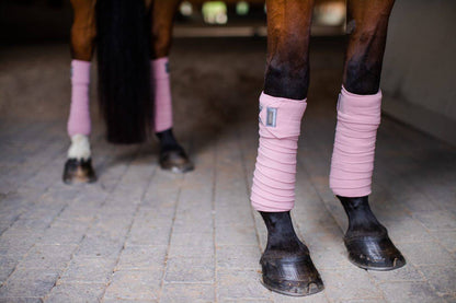Bandes de polo Equestrian Stockholm - Pink Crystal