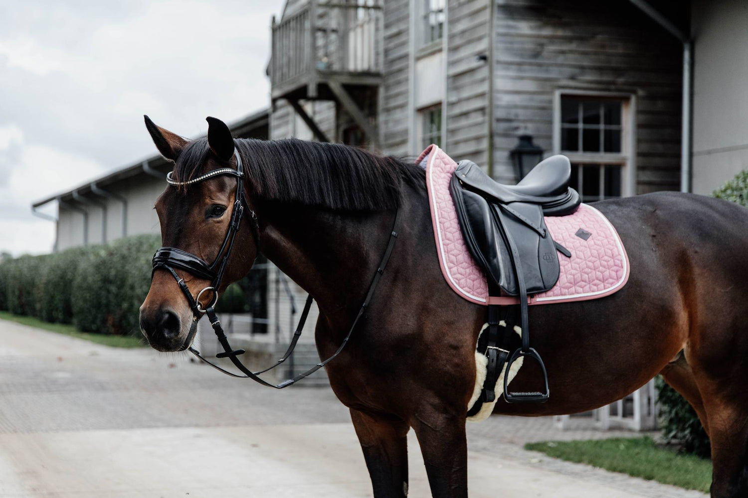 Tapis laine Wool - Kentucky