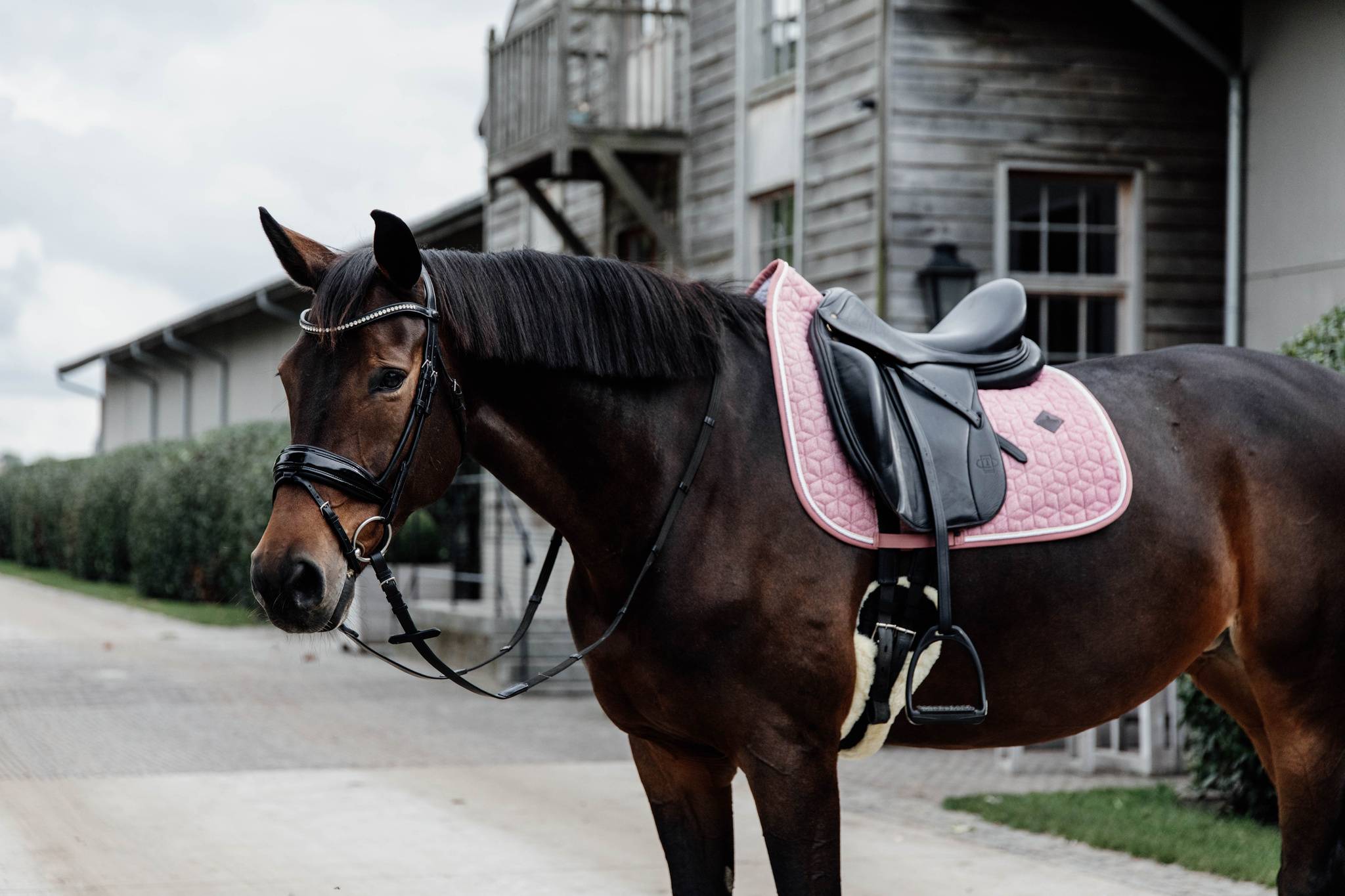 Tapis laine Wool - Kentucky