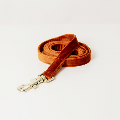 Laisse pour chien Velvet 120 cm - Kentucky