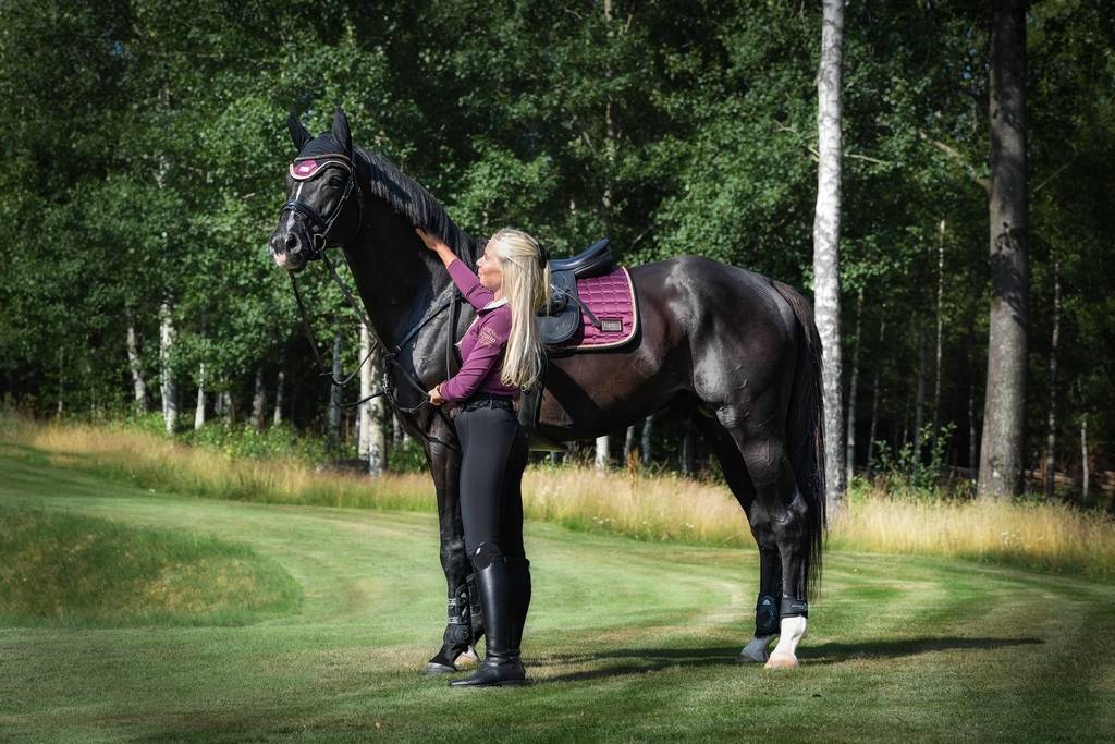 Plum saddle pad - Plum/Rose Gold - EQUITO 