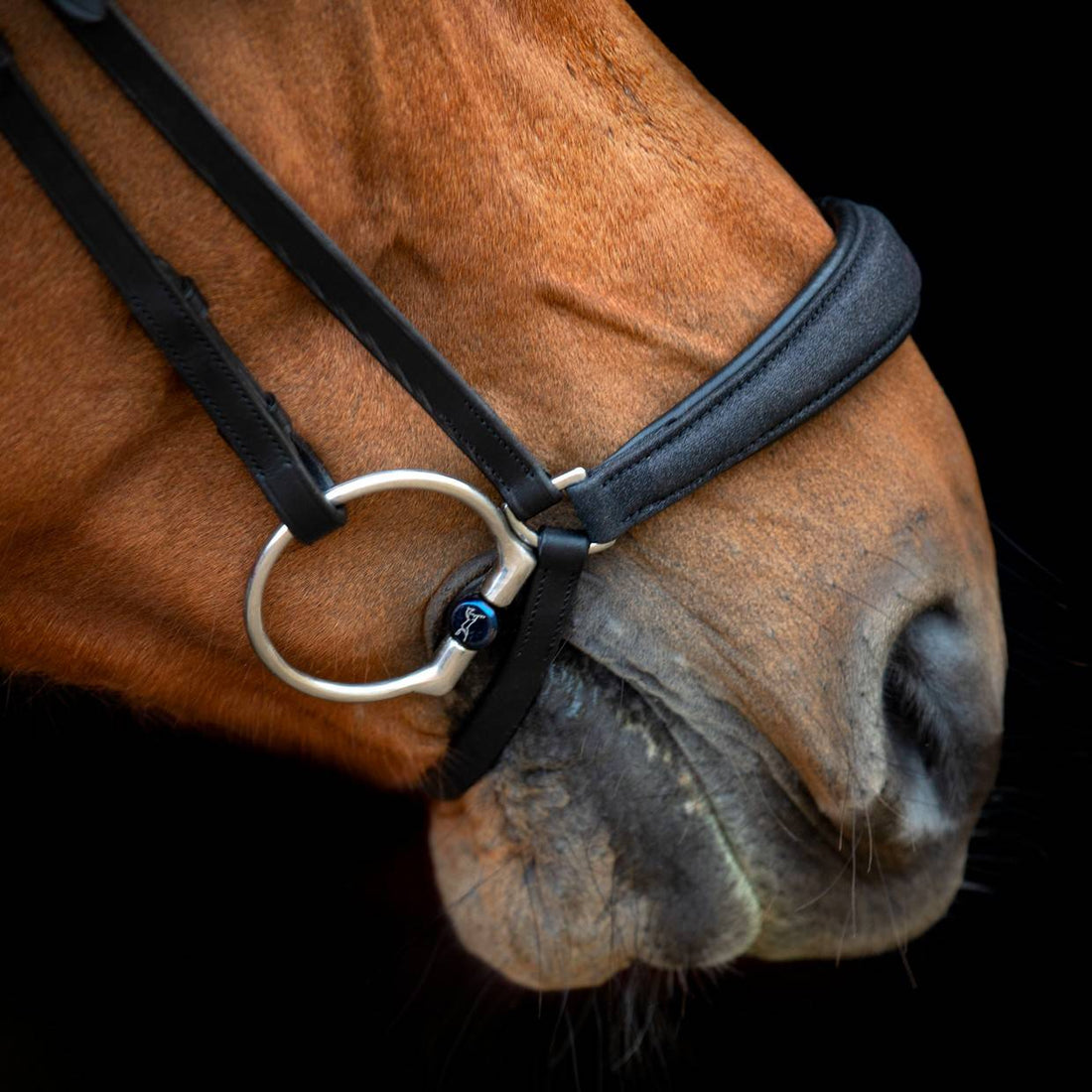 Hollywood Glamorous black glitter German noseband - SD Design