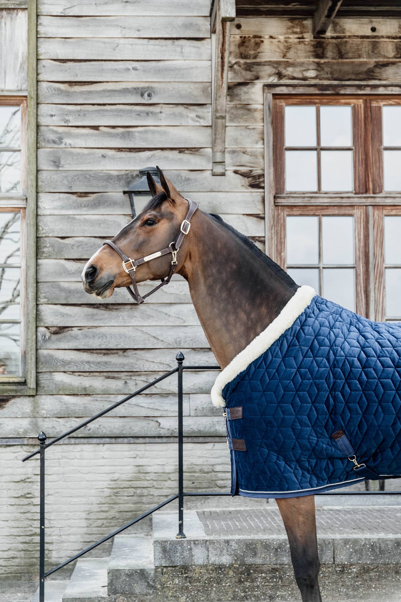 Kentucky Velvet Presentation Blanket 160g - Navy blue
