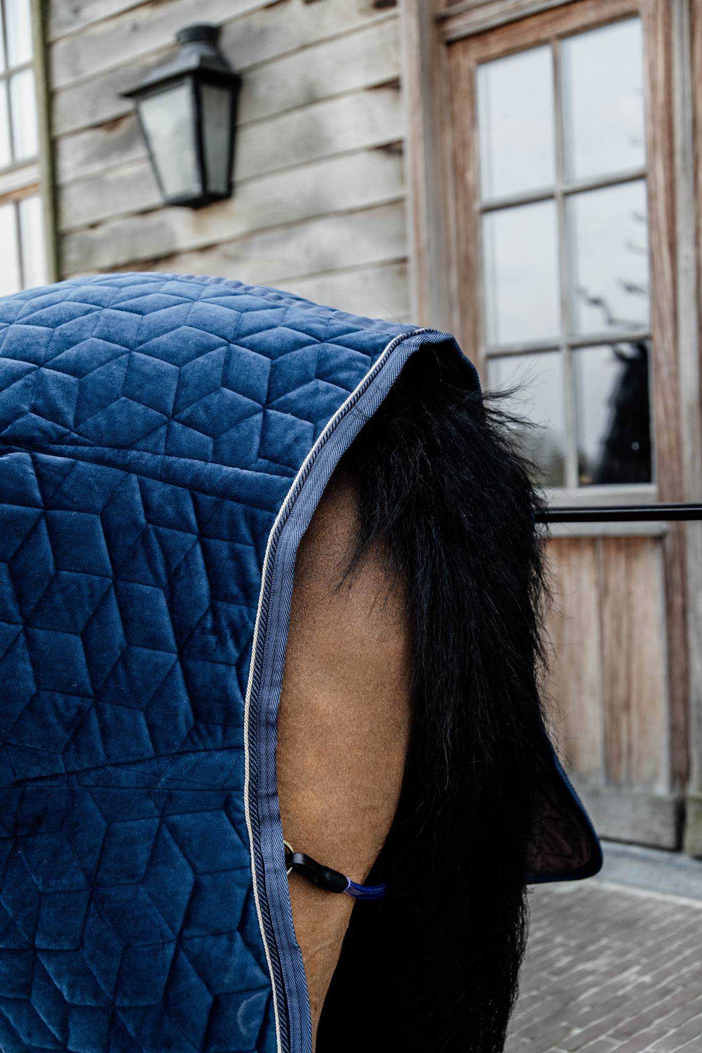 Kentucky Velvet Presentation Blanket 160g - Navy blue