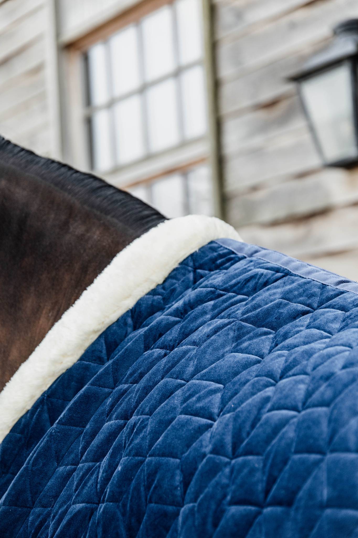 Kentucky Velvet Presentation Blanket 160g - Navy blue