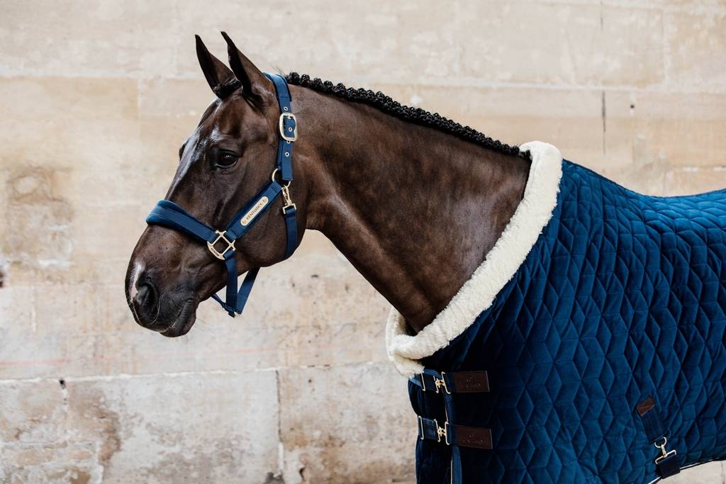 Kentucky Velvet Presentation Blanket 160g - Navy blue
