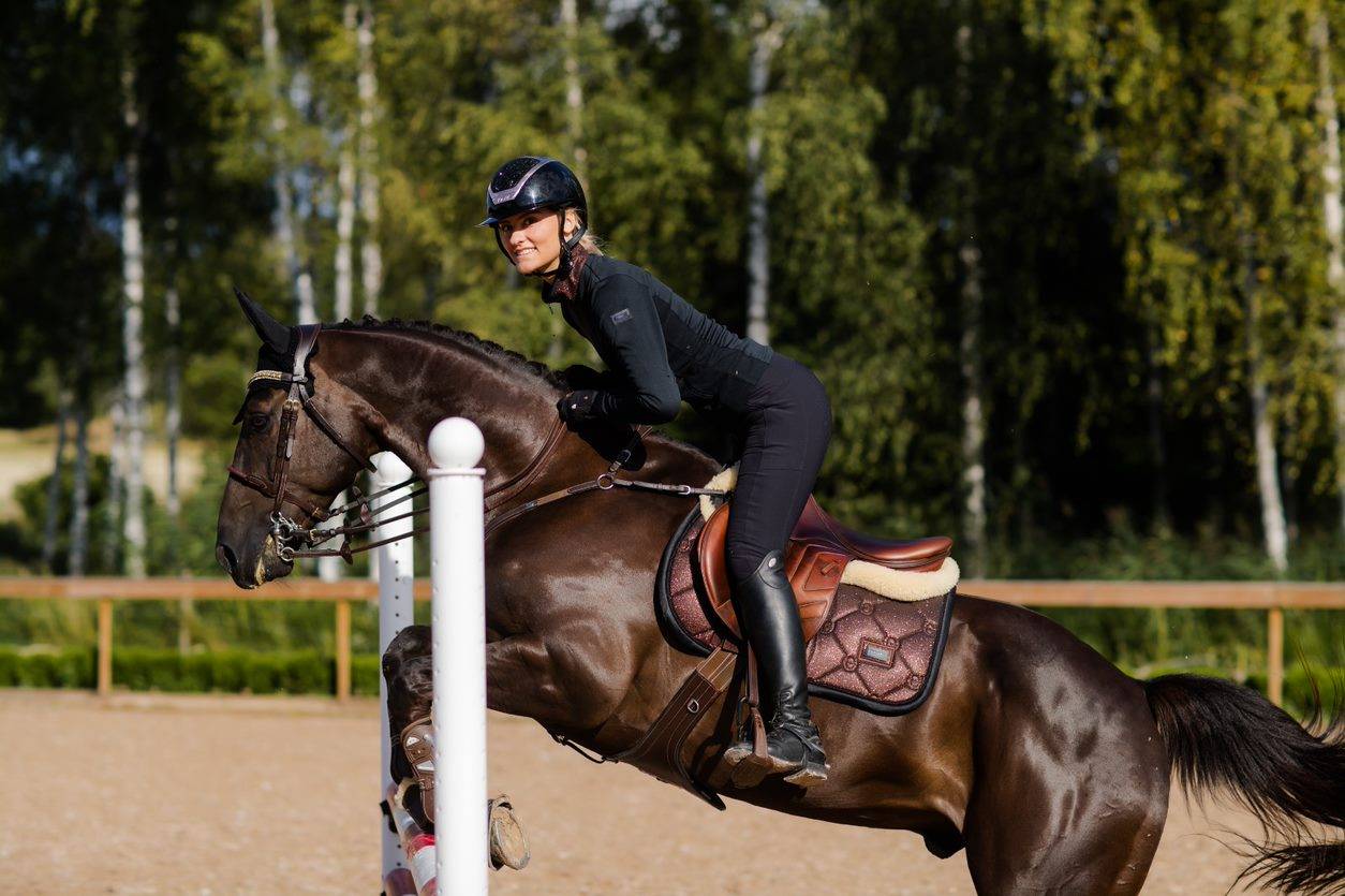 Tapis de selle Mahogany Glimmer - Equestrian Stockholm