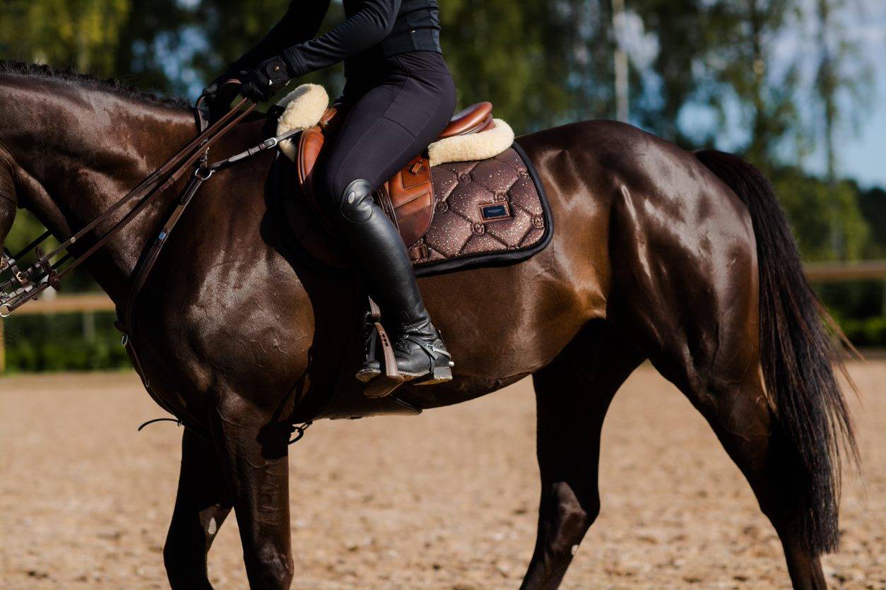 Tapis De Selle Premier Equine - Laine Mérinos - Pour Selle De Tapis De Selle Premier Equine - Laine Mérinos - Pour Selle De