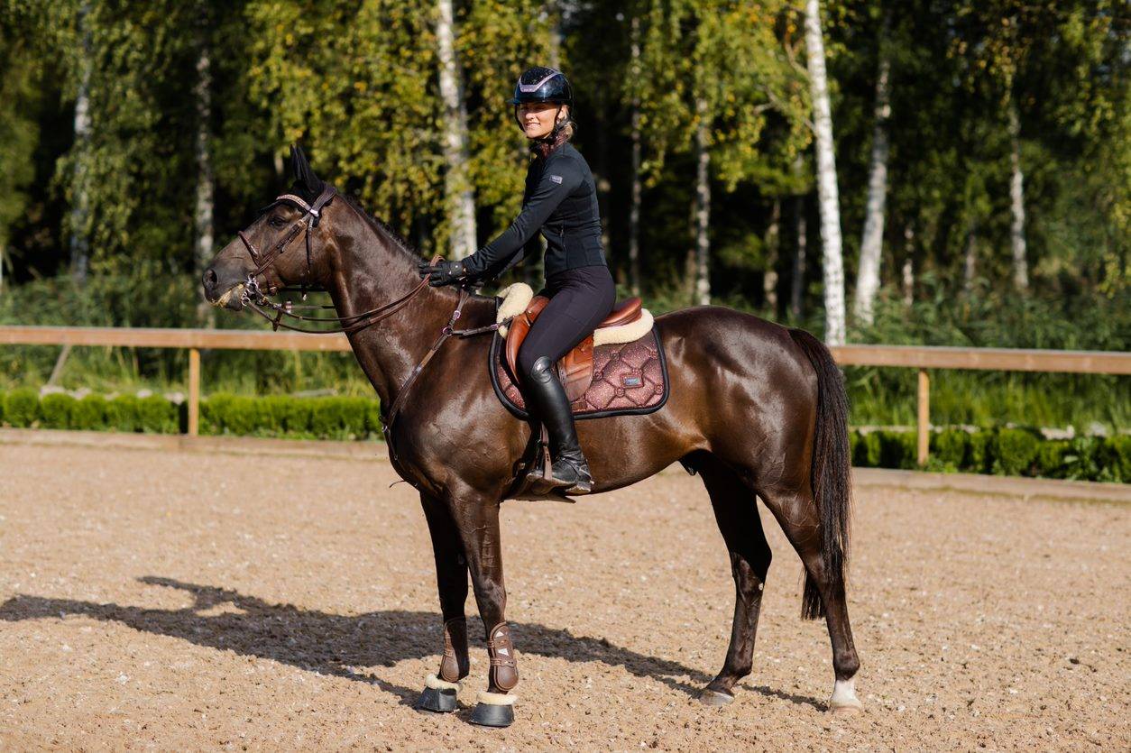 Tapis de selle Mahogany Glimmer - Equestrian Stockholm