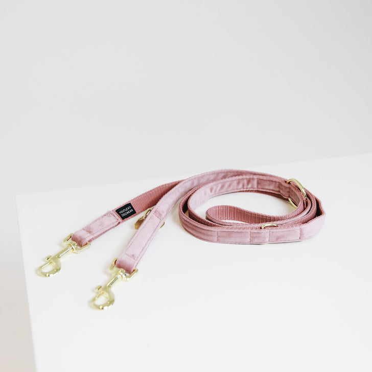 Velvet 2m dog leash - Kentucky