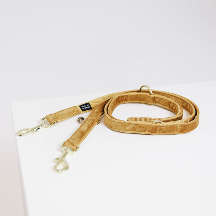 Velvet 2m dog leash - Kentucky