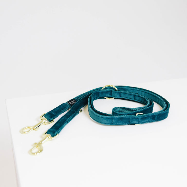 Velvet 2m dog leash - Kentucky