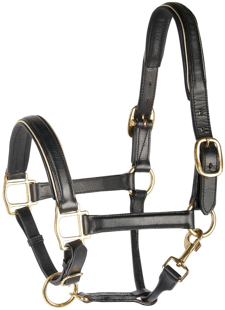 Licol en cuir doré ou argent Harry&