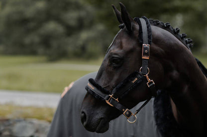 Licol doublé mouton et longe Equestrian Stockholm - DARK SKY