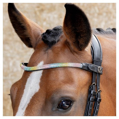 Etrille Harry's Horse Comfort Care | Matériel de pansage Etrille Harry's Horse Comfort Care | Matériel de pansage