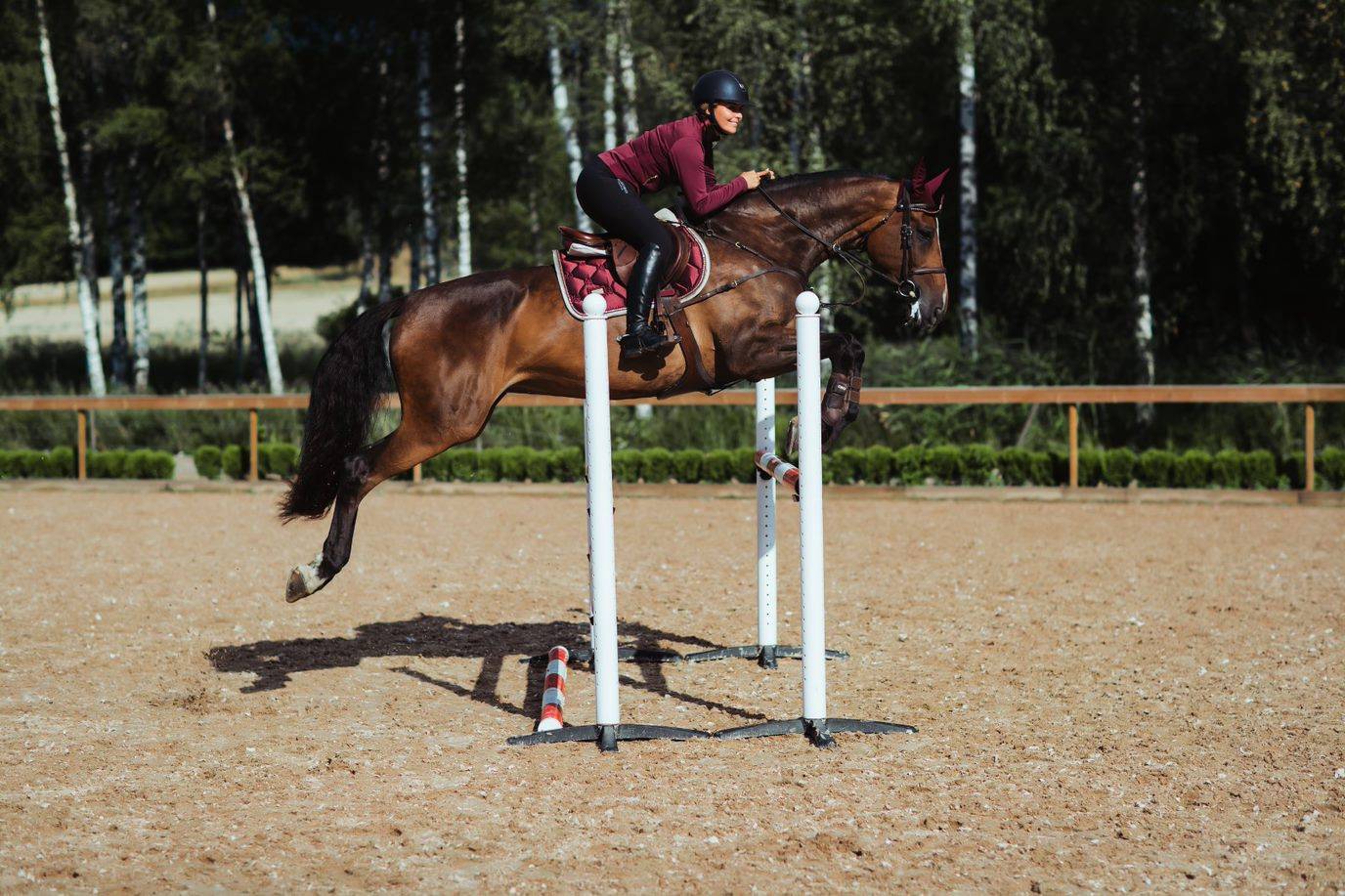 Tapis de selle Crystal Merlot Gold - Equestrian Stockholm