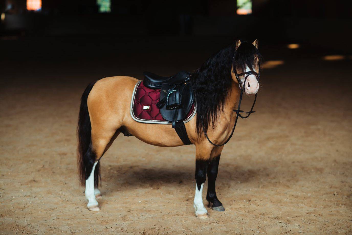 Tapis de selle Crystal Merlot Gold - Equestrian Stockholm