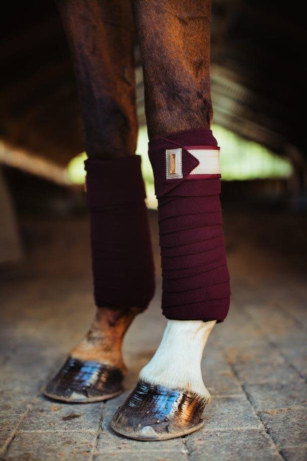 Bandes de polo Equestrian Stockholm - CRYSTAL MERLOT GOLD