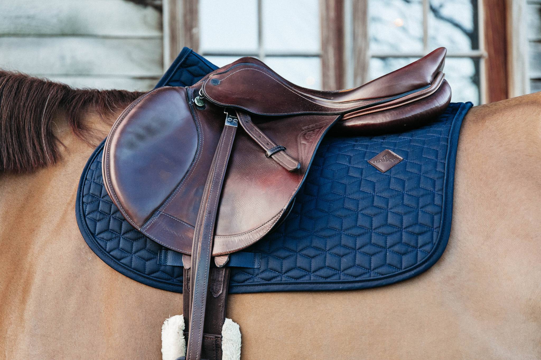 Tapis de selle Classique MIXTE - Kentucky