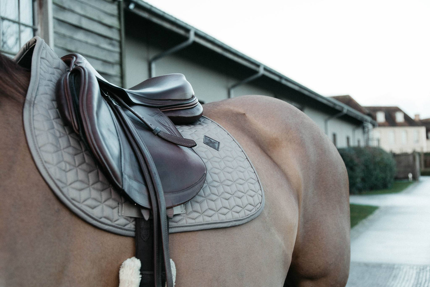 Tapis de selle Classique MIXTE - Kentucky