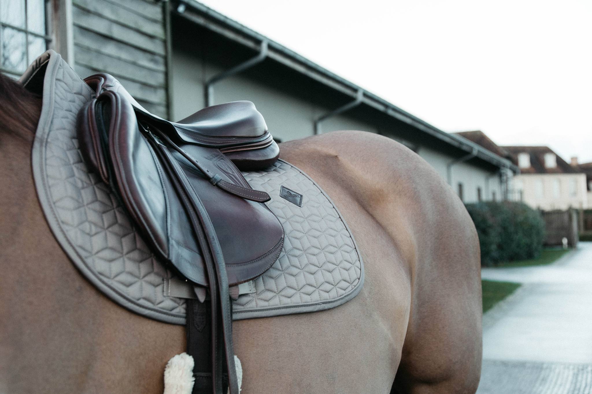 Tapis de selle Classique MIXTE - Kentucky
