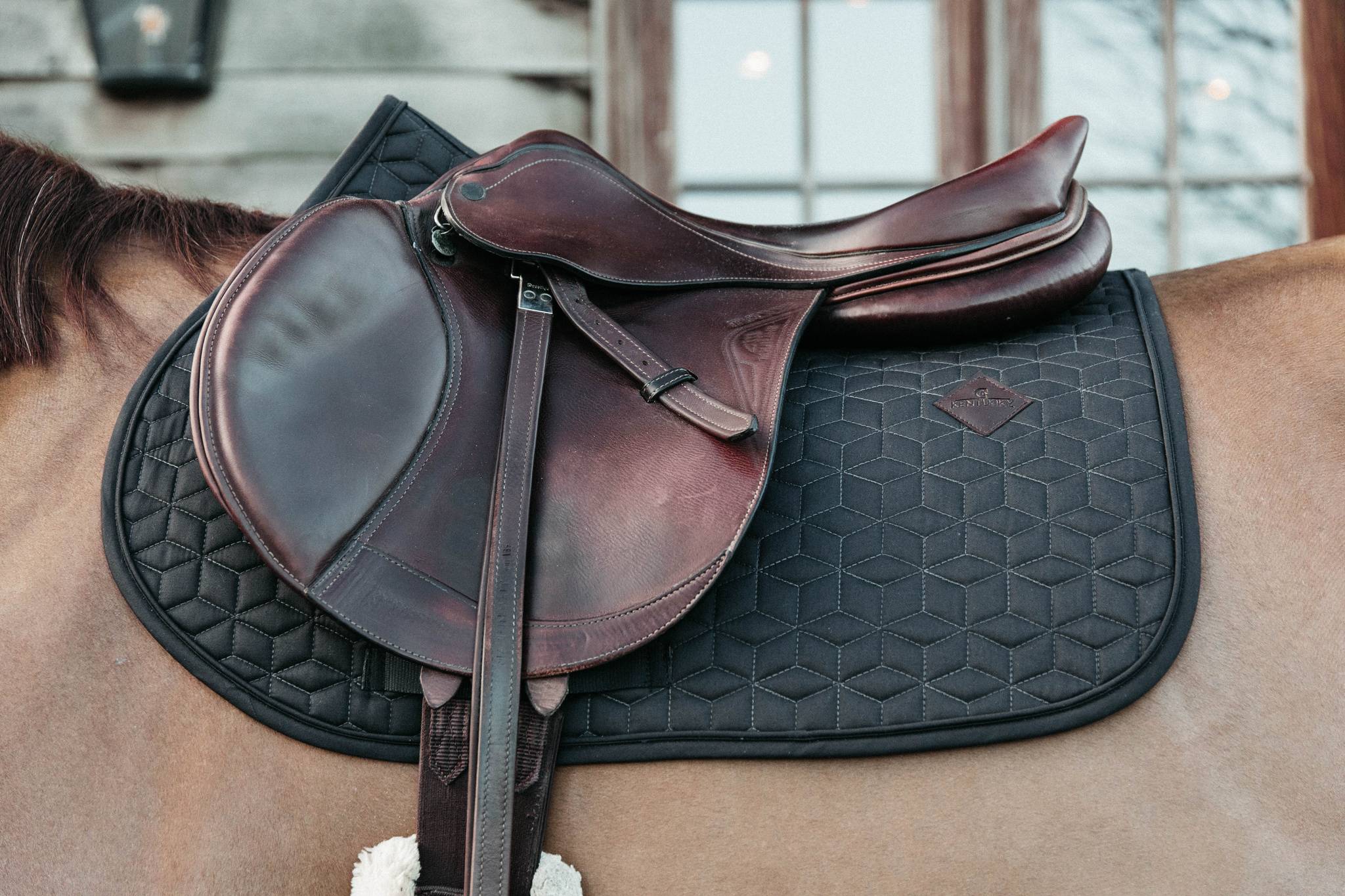Tapis de selle Classique MIXTE - Kentucky