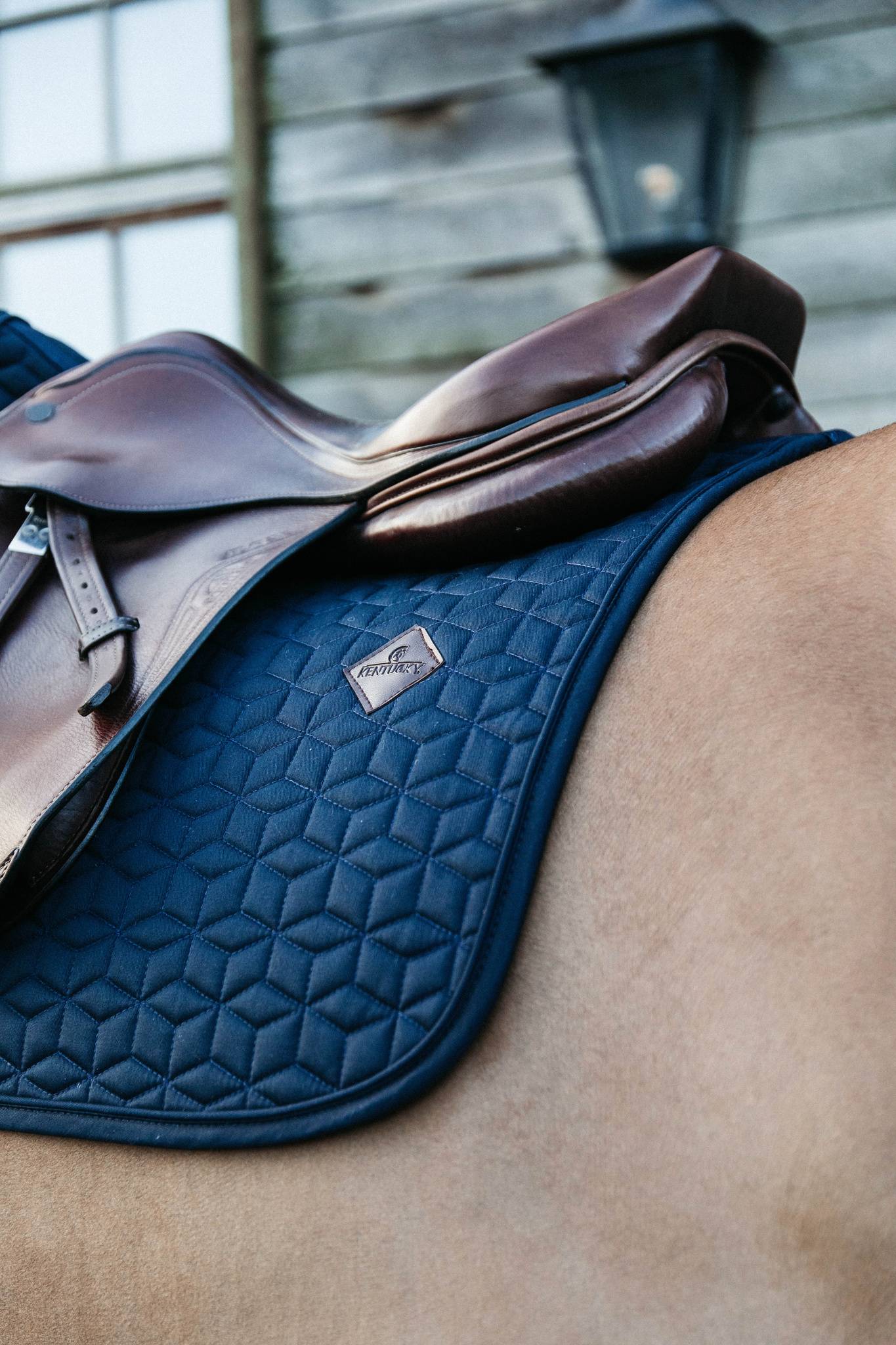 Tapis de selle Classique MIXTE - Kentucky