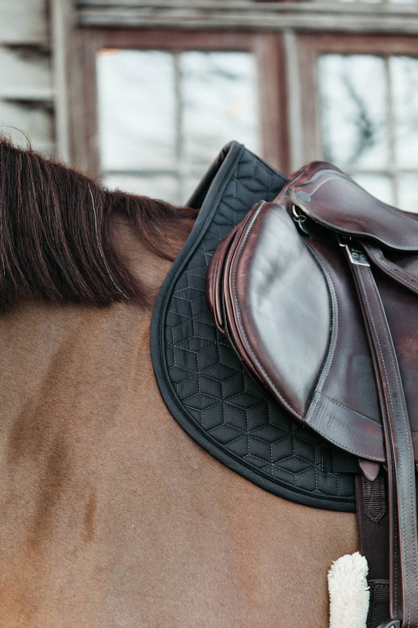 Tapis de selle Classique MIXTE - Kentucky
