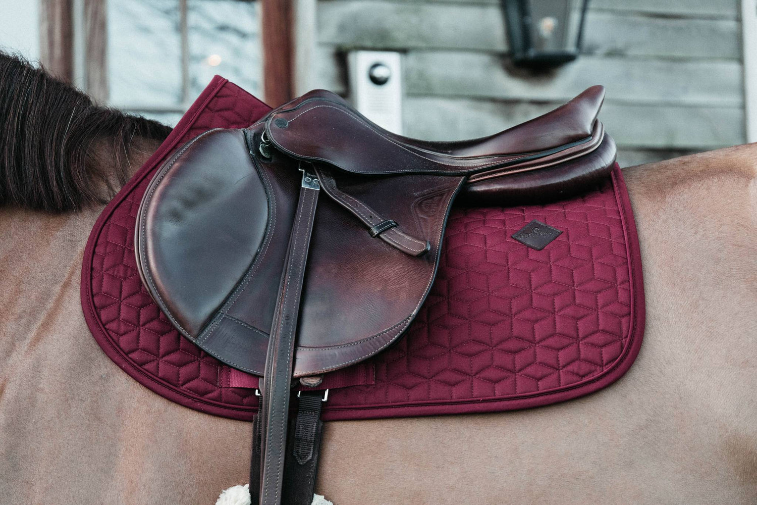 Tapis de selle Classique MIXTE - Kentucky