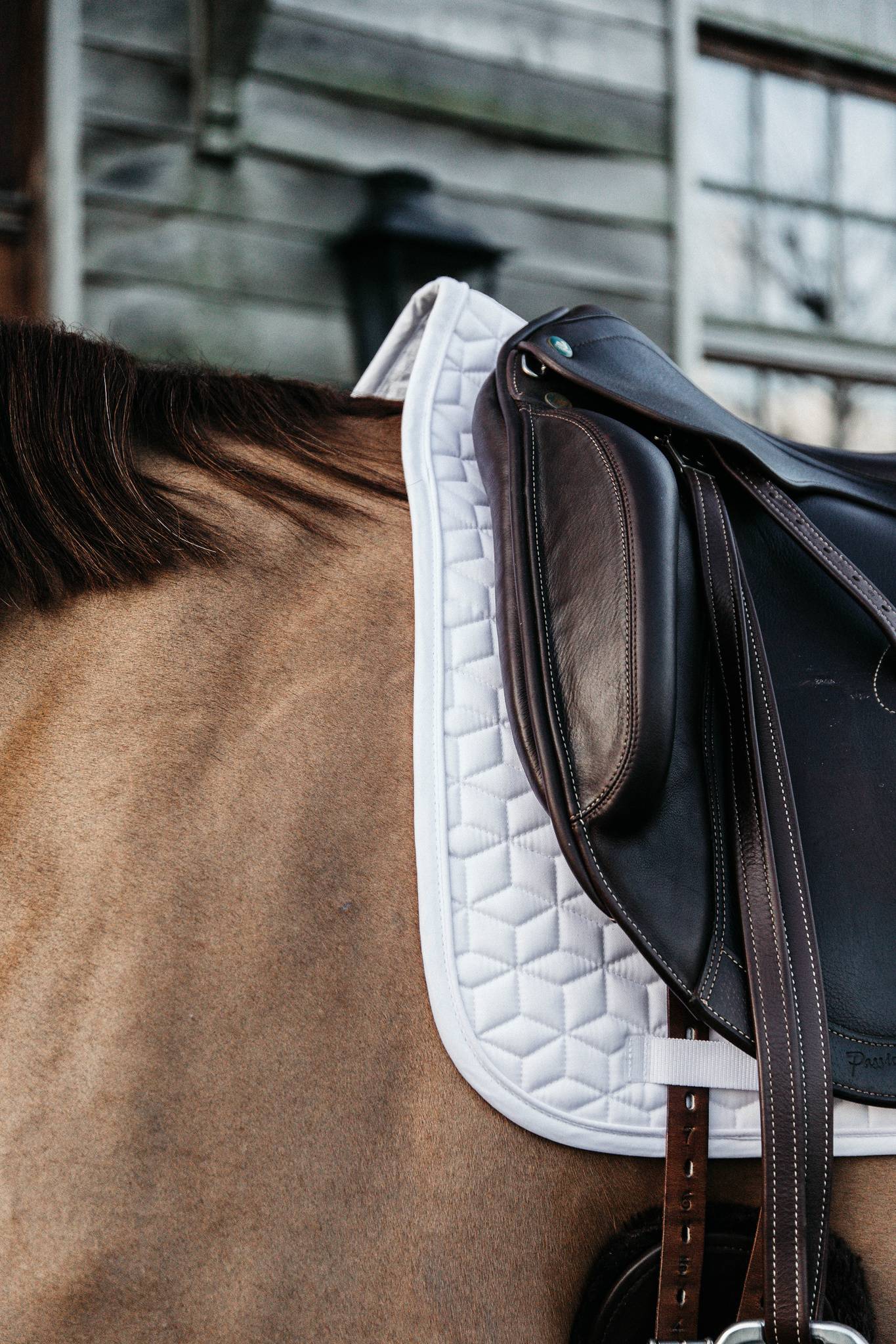 Classic saddle pad - Kentucky