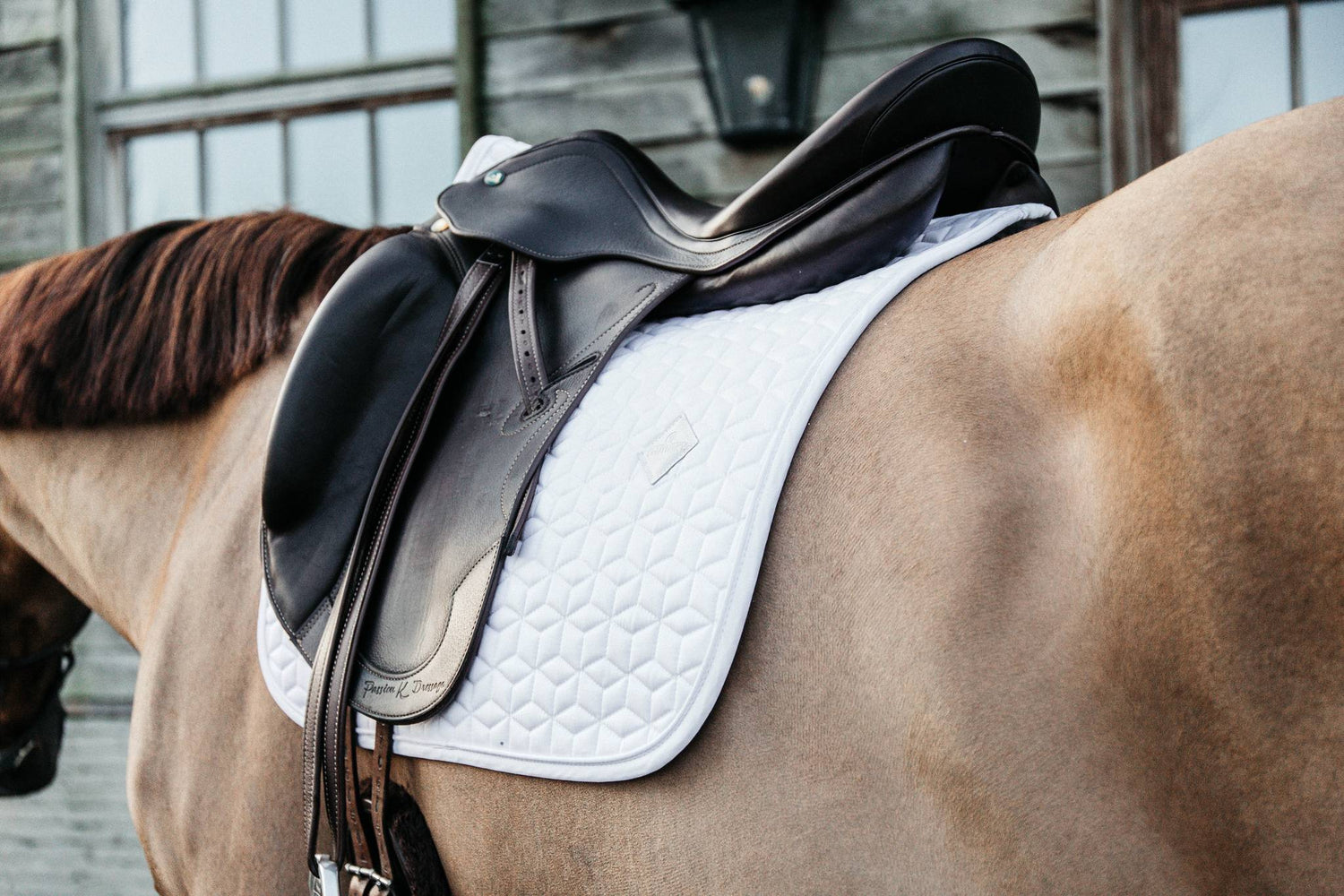 Classic saddle pad - Kentucky