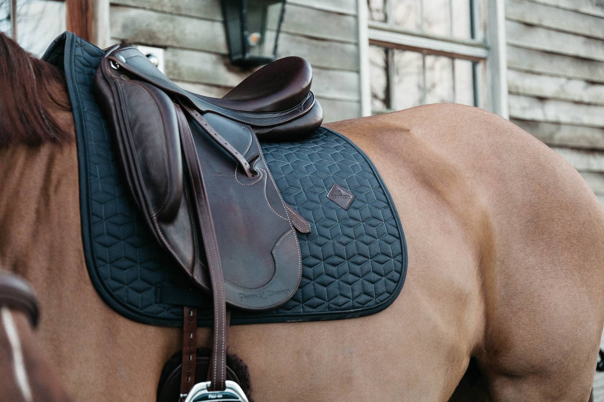 Classic saddle pad - Kentucky