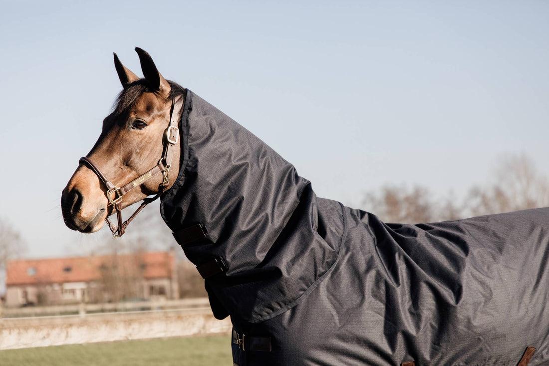 All Weather Waterproof Outdoor Blanket Classic 0g - Kentucky