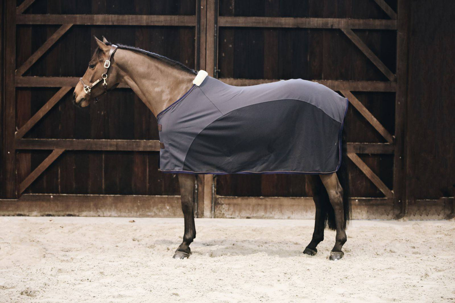 Chemise séchante Softshell - Kentucky