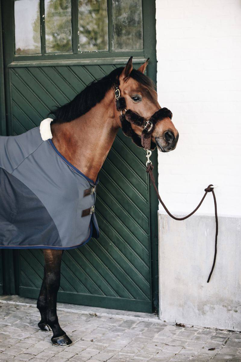 Chemise séchante Softshell - Kentucky